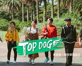 91成人视频《TOP DOG》免费在线观看