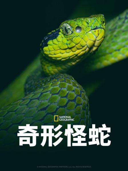 91抖阴《奇形怪蛇》免费在线观看